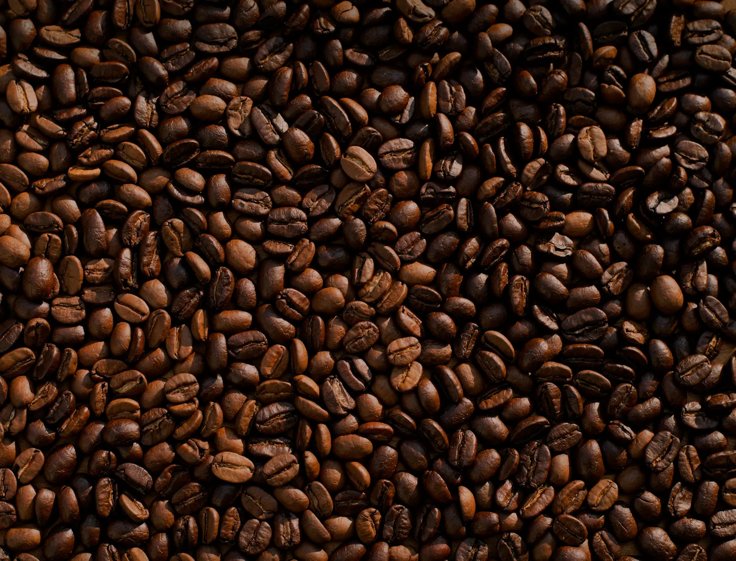 Coffee beans shown as origin inspiration